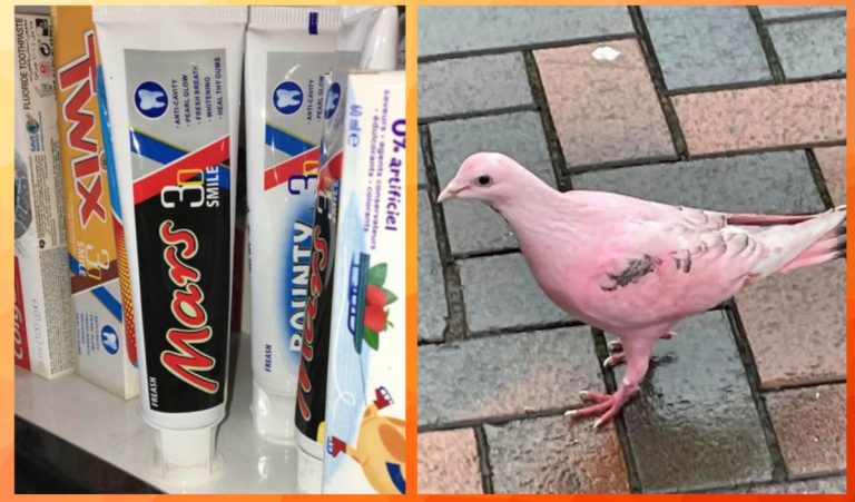 Невероятные находки со всего света в которые трудно поверить