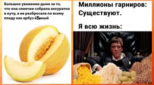 Смешные картинки с надписями и миллионы гарниров