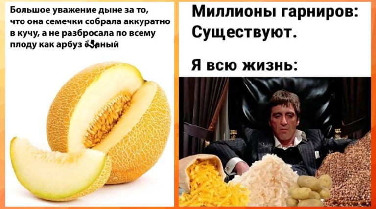 Смешные картинки с надписями и миллионы гарниров