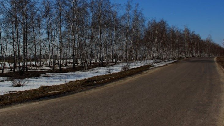 Полиция обнаружила шестилетнего ребенка, который один в темноте шел по обочине дороги
