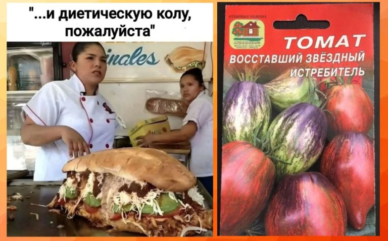 Смешные картинки с надписями и томат истребитель