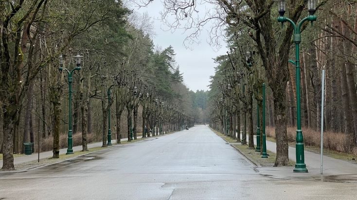Новости Межапарка: со вторника по проспекту Остас можно ездить только с пропусками