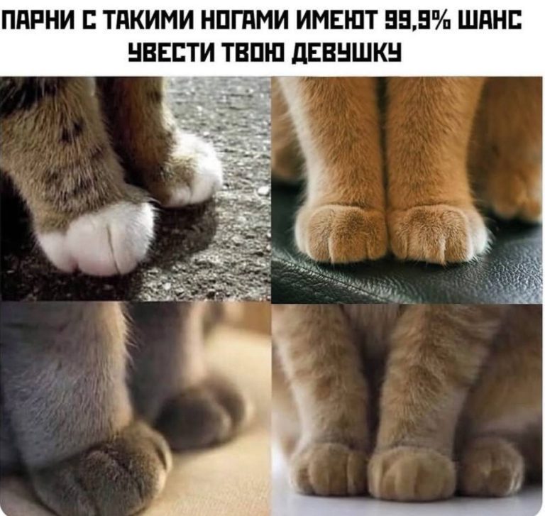 Смешные картинки с надписями и парни с ногами