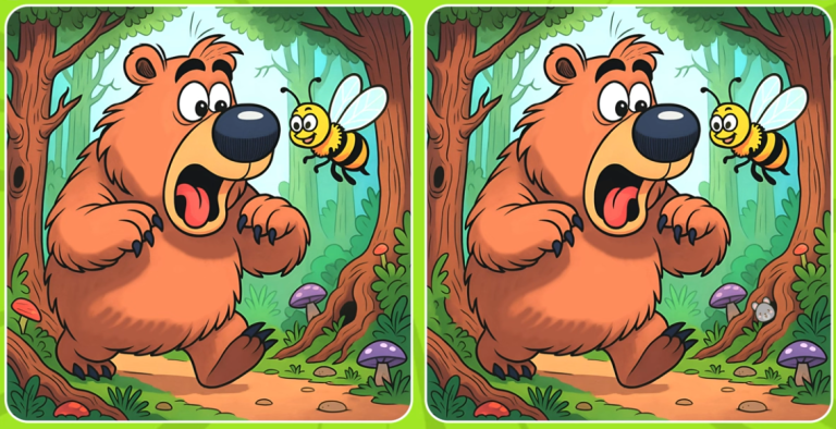 🐻🐝 Найди 3 отличия и спасай медведя от пчелы! 🐝🐻