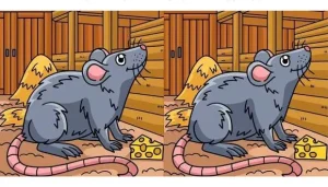 🐭 Найдите 3 отличия за 12 секунд: простая игра, которая тренирует мозг