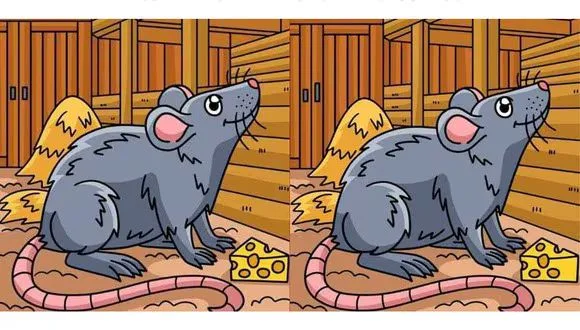 🐭 Найдите 3 отличия за 12 секунд: простая игра, которая тренирует мозг