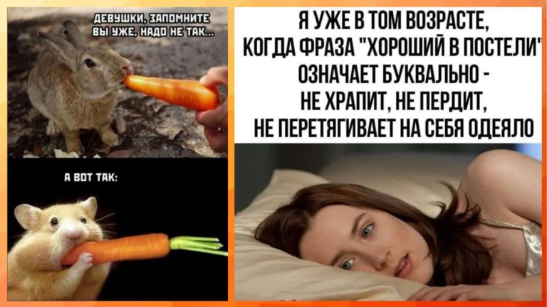 Юмор для тех, кто уже повзрослел и понял, что спонтанные планы — это просто фантазия