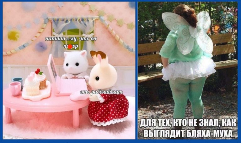 Юмор для тех, кто уже повзрослел и понял, что «завтра начну» — это вечный понедельник.