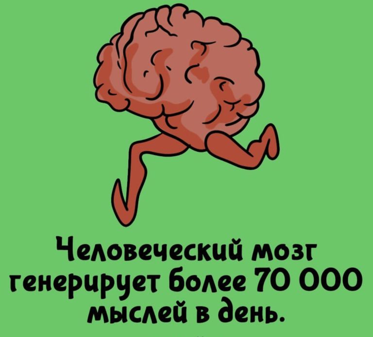 20 забавных фактов, которые сделают вас самым интересным собеседником