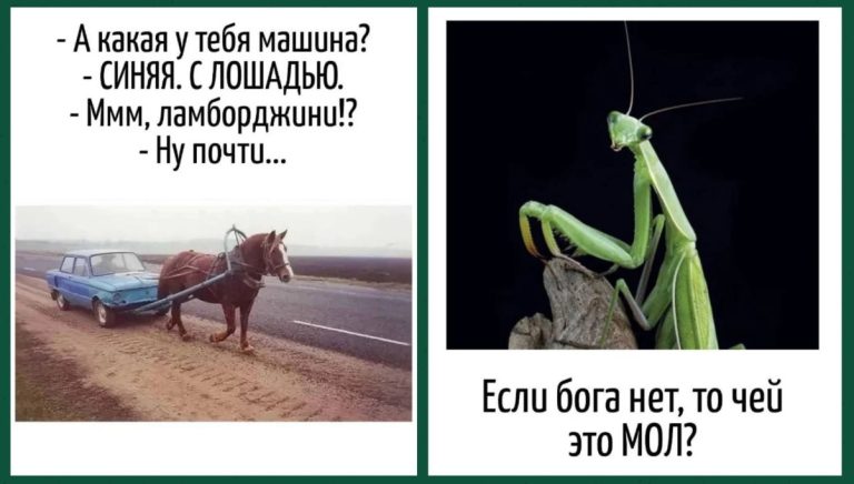 Игра слов это юмор скрытый в языке и каламбурах