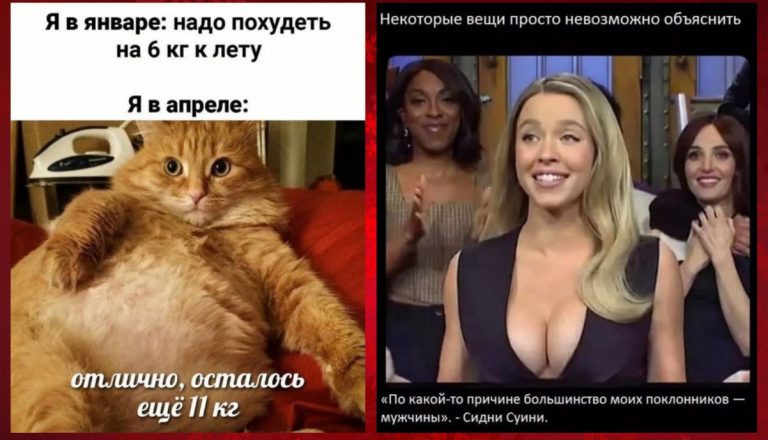 Смешные картинки с надписями и похудеть в апреле