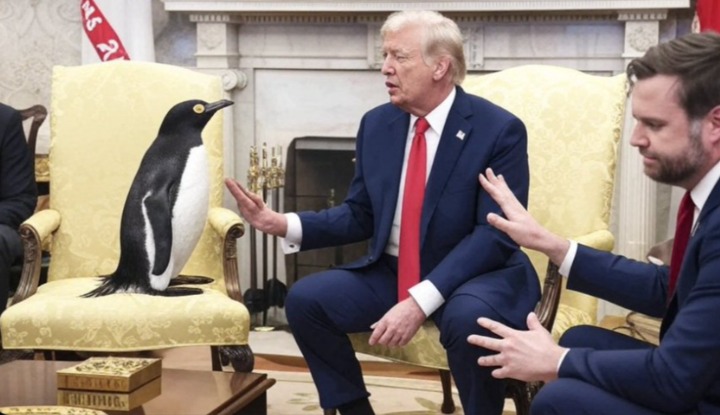 Мемы о пингвинах Трампа заполнили социальные сети