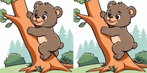 Мишка лезет на дерево, но что-то не так: найдите 3 отличия за 13 секунд