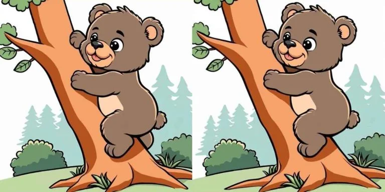 Мишка лезет на дерево, но что-то не так: найдите 3 отличия за 13 секунд
