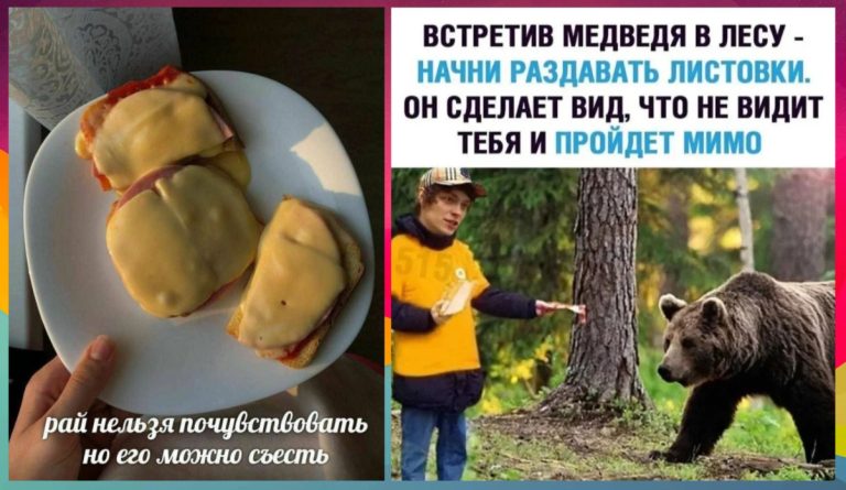 Смешные картинки с надписями в субботу и как отогнать медведя