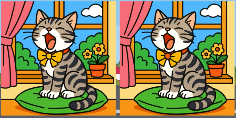 😺 «Мяу на миллион»: найди 3 отличия, пока кот не заснул окончательно!