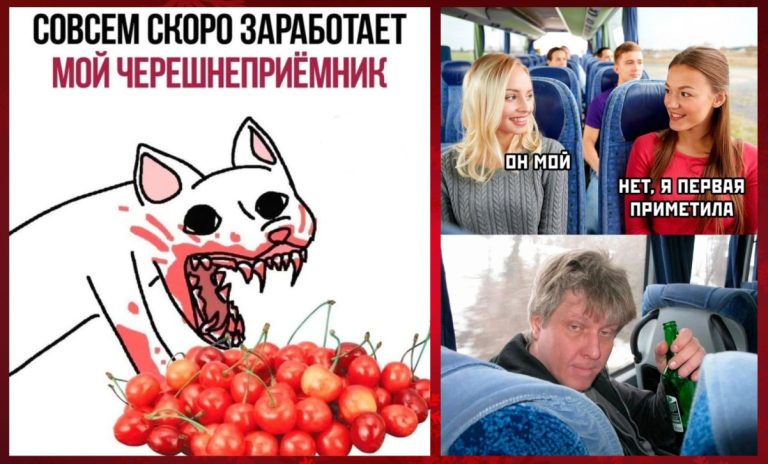 Юмор для тех, кто уже повзрослел и понял, что «выспаться» — это мифический квест