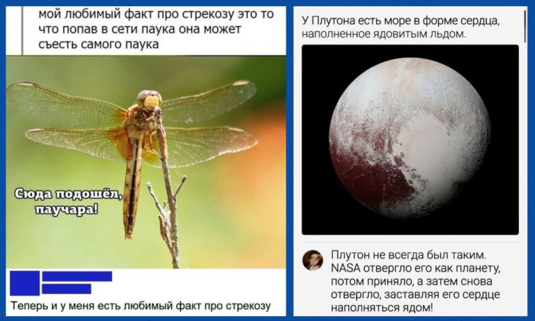 Забавные комментарии, которые как острый соус приправляют сам пост