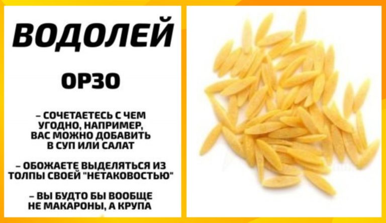 Какие макароны тебе варить по звездам: астрологи снова отжигают