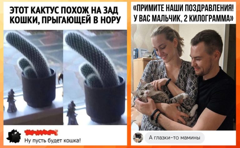 Забавные комментарии — острый соус к любому посту