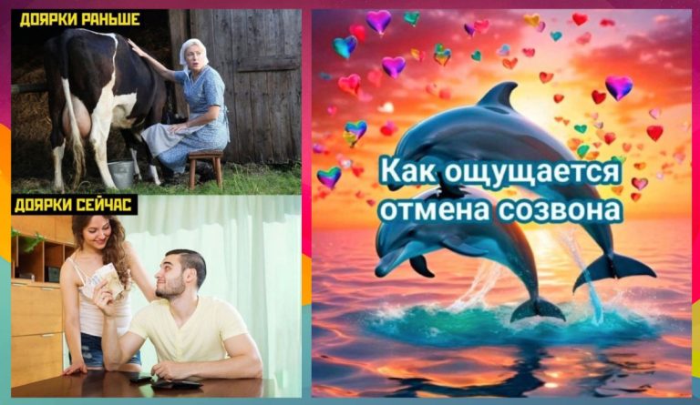 Интернет мемы на утро среды и отмена рабочего созвона