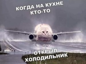 Смешные картинки с надписями в четверг и холодильник