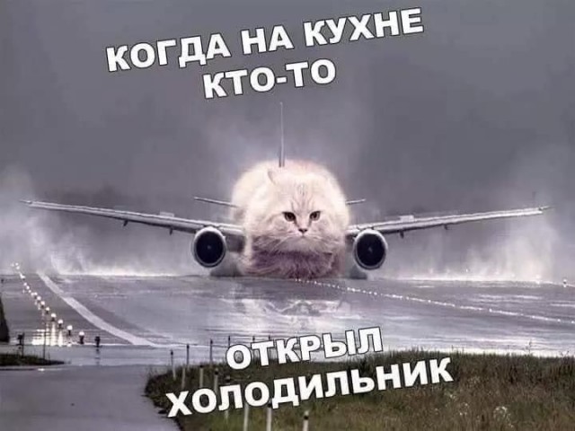 Смешные картинки с надписями в четверг и холодильник
