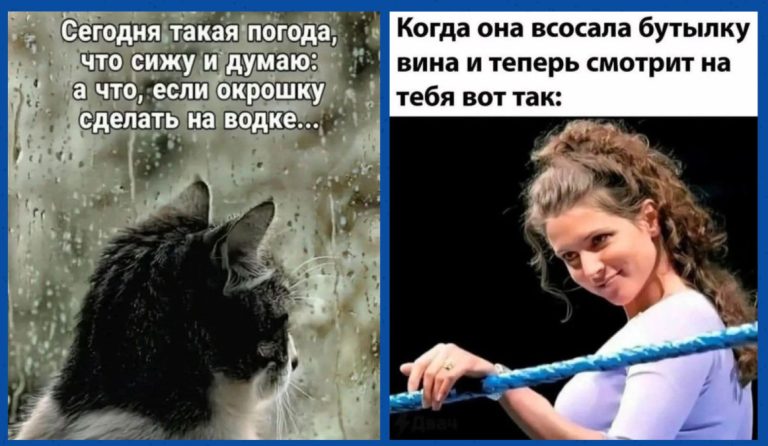 Юмор для тех, кто уже повзрослел и понял, что «убраться дома» — это марафон, а не спринт