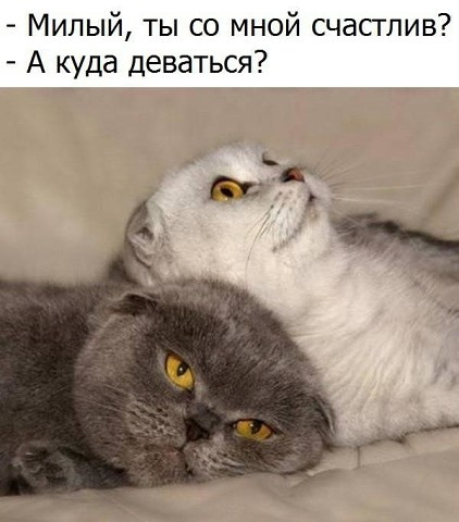 💖 Эти знаки зодиака создают самые крепкие браки: проверьте себя