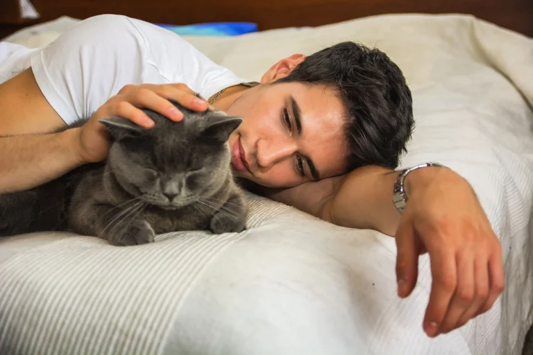 4 вещи, которые кошки учитывают, выбирая своего любимого человека