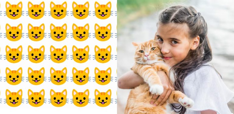 🐱 Сможете найти отличающегося кота за 5 секунд? Только внимательные замечают разницу