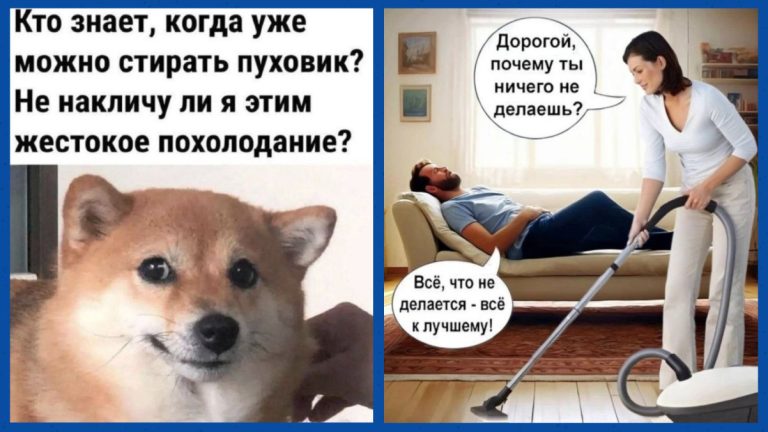 Смешные картинки на утро четверга и жестокое похолодание