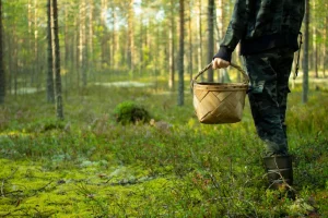 В Латвии вводится принудительное лечение подростков с зависимостями