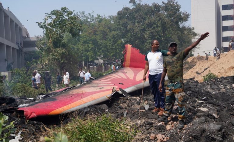 Эксперт: причиной крушения самолета Air India могло быть столкновение с птицами
