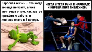Когда в доме не одна кошка: искусство дипломатии и гармонии в пушистом царстве