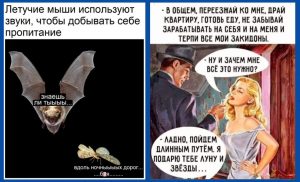 🧠 Фитнес для мозга: шахматная задача с матом в один ход