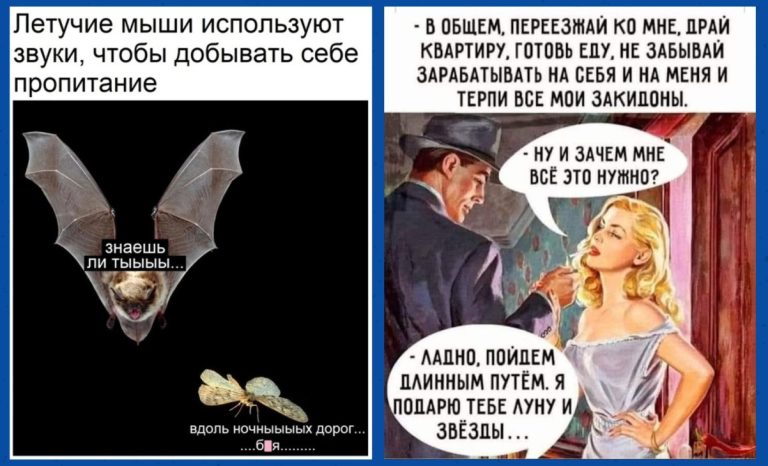 Интернет мемы в среду и долгий путь