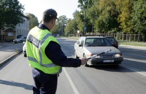 На каждого питомца — цифровое досье: Латвия создает единую систему здоровья животных