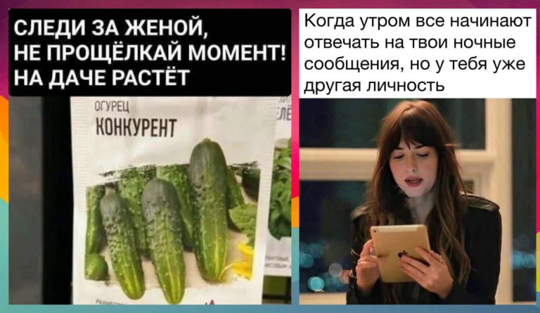 Интернет мемы в пятницу и дачные огурцы