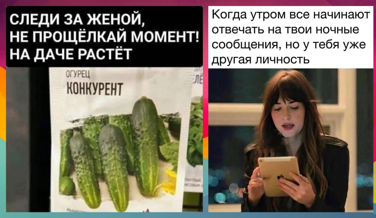 Интернет мемы в пятницу и дачные огурцы