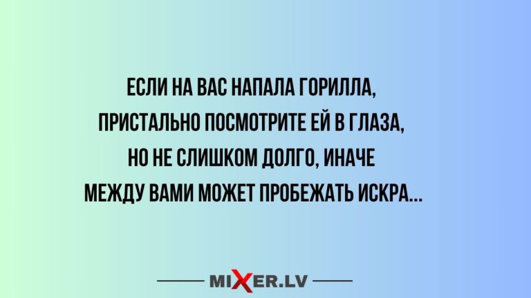 Юмор за день и горилла