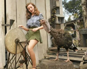 20 редких исторических фотографий: цветная хроника США
