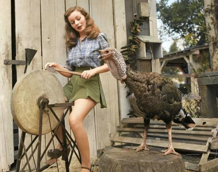 20 редких исторических фотографий: цветная хроника США
