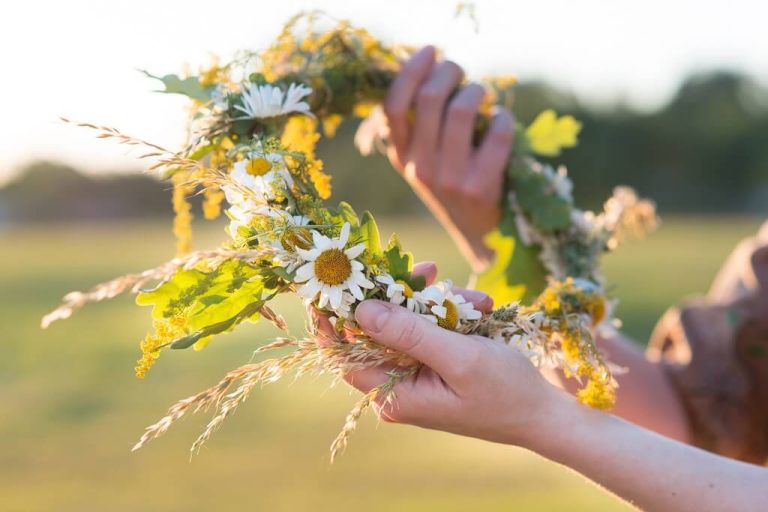 🌞 Сдвинуть Янов день? Пользователи соцсетей предлагают праздновать в день настоящего солнцестояния