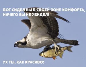 Не ходите в музеи и не сравнивайте цены! Уроки идеального путешествия от Пауло Коэльо