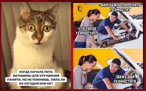 От редких кадров до знаменитых лиц: подборка исторических фото, которые зацепят каждого