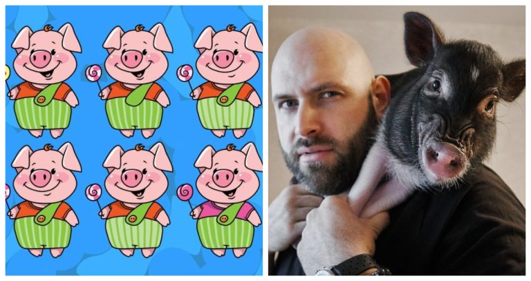 🐷 Тренажер ума: Сможете ли вы найти двух абсолютно одинаковых поросят за 17 секунд?