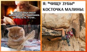 Юмор за день и точка зрения китов