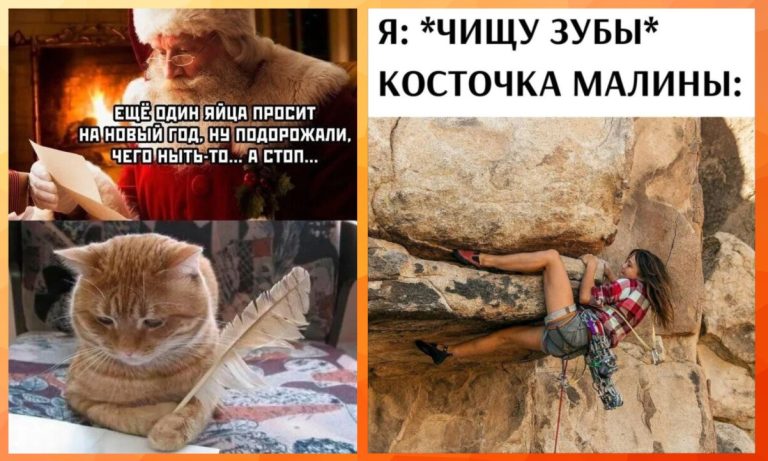 Интернет мемы в пятницу и косточка малины