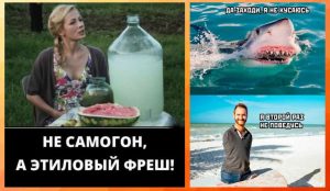 Советы экспертов: 5 продуктов, которые нужно хранить в холодильнике во время жары
